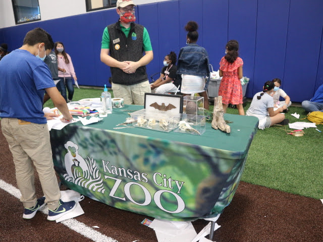 Kansas City Zoo outreach table with sign showing a bat and its wing structure